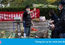 Du học sinh Việt Nam mòn mỏi chờ ngày Trung Quốc tái mở cửa