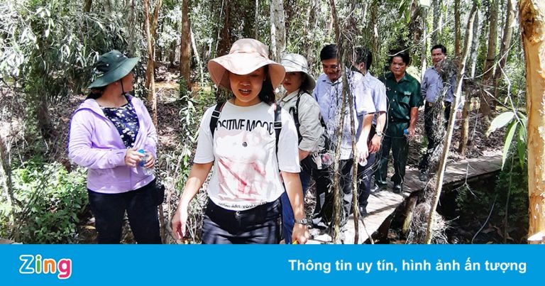 256 ha rừng tràm ở An Giang thành khu du lịch sinh thái