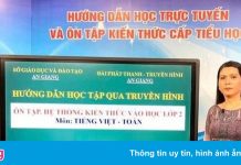 Cần có chiến lược cụ thể khi cho cấp tiểu học tạm nghỉ học online