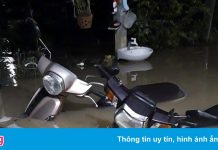 Mưa lũ gây ngập hàng trăm nhà dân ở Quảng Ngãi