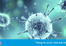 Những điều chúng ta đã biết về biến chủng B.1.1.529