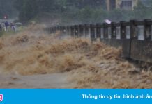 Mưa lũ làm đứt gãy cầu, cô lập 1.700 người dân Quảng Ngãi