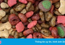 Việt Nam muốn xuất khẩu thức ăn cho chó mèo sang Nga