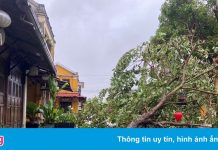 Yêu cầu kiểm điểm vụ chi trả 2.000 đồng cho người bị thiệt hại do bão