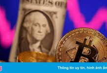 Hơn 500 triệu USD ‘bốc hơi’ khỏi thị trường tiền số