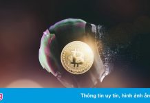 Vì sao Bitcoin giảm giá mạnh?