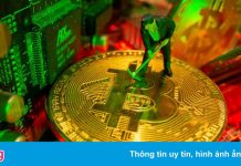 Những thiên đường Bitcoin mới của thế giới