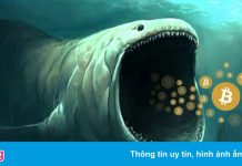 Ai là chủ ví ‘cá voi’ lớn thứ ba thị trường Bitcoin?