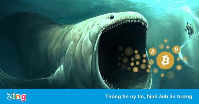 Ai là chủ ví ‘cá voi’ lớn thứ ba thị trường Bitcoin?