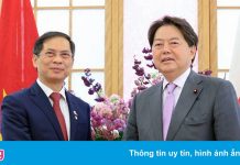 Việt – Nhật tăng cường hợp tác phục hồi kinh tế hậu đại dịch