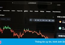 Nhà đầu tư đang bán tháo đồng Shiba Inu