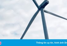 Điện gió Quốc Vinh Sóc Trăng nói về sự cố rơi một đoạn cánh quạt