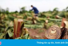 Vì sao người dân bị thiệt hại sau bão chỉ được hỗ trợ 2.000 đồng?