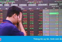 Chứng khoán trong nước sáng tăng, chiều lao dốc rồi gượng dậy