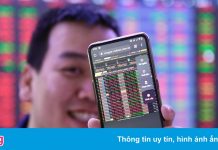 Hàng loạt cổ phiếu vượt đỉnh lịch sử cùng thị trường