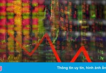 Gần 200 mã chứng khoán ‘nằm sàn’ phiên đầu tuần