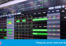 Công ty kinh doanh bết bát nhưng giá cổ phiếu vẫn tăng hàng chục lần