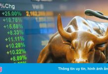 Không chỉ cá nhân, công ty lớn cũng đổ xô mua chứng khoán