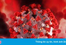 Israel phát hiện ca nhiễm biến chủng B.1.1.529 đầu tiên