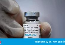 Công nghệ bên trong vaccine Covaxin vừa được phê duyệt