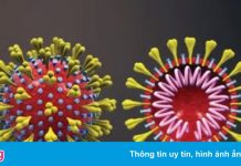 Hong Kong phát hiện ca mắc biến chủng B.1.1.529 đầu tiên