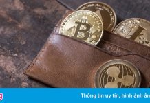 Nên dùng ví nóng hay ví lạnh để trữ tiền số?