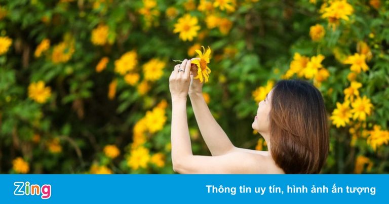 Những mùa hoa cuối năm ở Đà Lạt