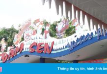 Công viên nước Đầm Sen thoát lỗ nhờ đầu tư chứng khoán