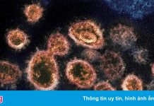 Cách biến chủng Delta, Kappa qua mặt vaccine Covid-19