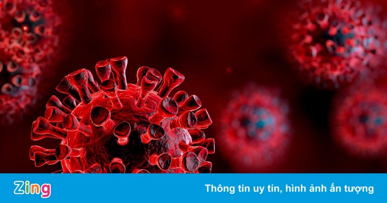 Lo ngại biến chủng mới, Anh cấm bay từ 6 nước châu Phi