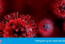 Nhật Bản phát hiện ca nhiễm biến chủng Omicron đầu tiên