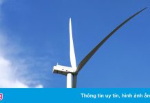 Gãy cánh quạt điện gió ở Sóc Trăng