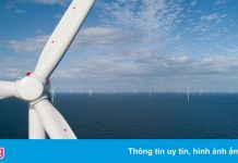 Tập đoàn điện gió Đan Mạch đề xuất làm dự án ngoài khơi Hải Phòng