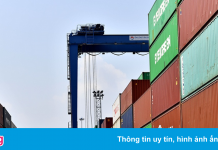 Sở Công Thương TP.HCM: Không cạnh tranh logistics với các tỉnh bạn
