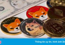 Nhiều người Việt trắng tay vì memecoin
