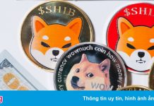 Nhiều nhà đầu tư Việt bán tháo coin Shiba Inu