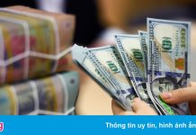 Kho bạc Nhà nước chào mua 250 triệu USD