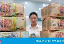 SSI: Hơn 60.000 tỷ đồng được bơm ra thị trường từ đầu tháng 11