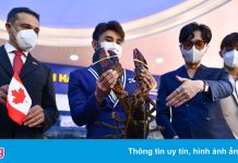 Tôm hùm Canada nặng hơn 6 kg trong lễ hội tại TP.HCM