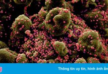 Giới khoa học cảnh giác trước ‘con cháu’ của biến chủng Delta