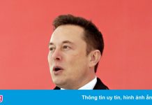 Coin ăn theo biệt danh của Elon Musk tăng giá 9 lần