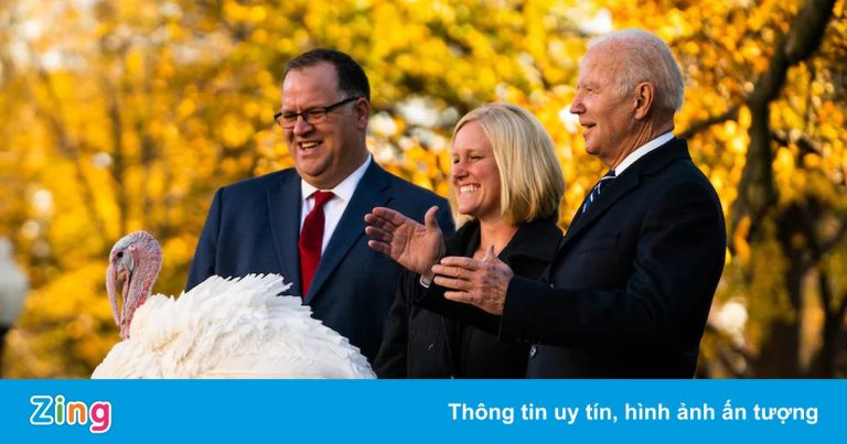 Tổng thống Biden xá tội cho gà tây Tổng thống Biden xá tội cho gà tây