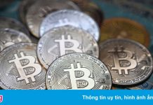 Nhà đầu tư tiền mã hóa thua lỗ trong tuần qua