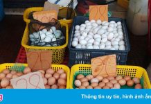 Giá thịt gà ở miền Tây tăng, giá trứng lại giảm