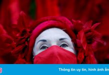 Tổng thư ký Liên Hợp Quốc: Chúng ta đang đào mồ cho chính mình