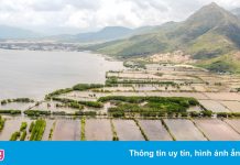 Đất nền Cam Lâm lại sốt