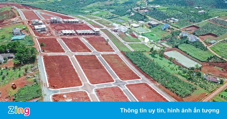 Cạo trọc cả quả đồi làm dự án bất động sản ở Bảo Lộc