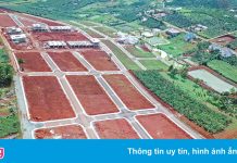 Bộ Xây dựng vào cuộc vụ phân lô, bán nền ở vùng chè Lâm Đồng