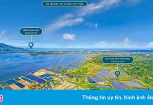 Tỉnh ủy Khánh Hòa yêu cầu chấn chỉnh ‘loạn’ phân lô, bán nền