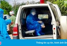 Bệnh nhân Covid-19 trốn khỏi khu điều trị, cố thủ trên cây